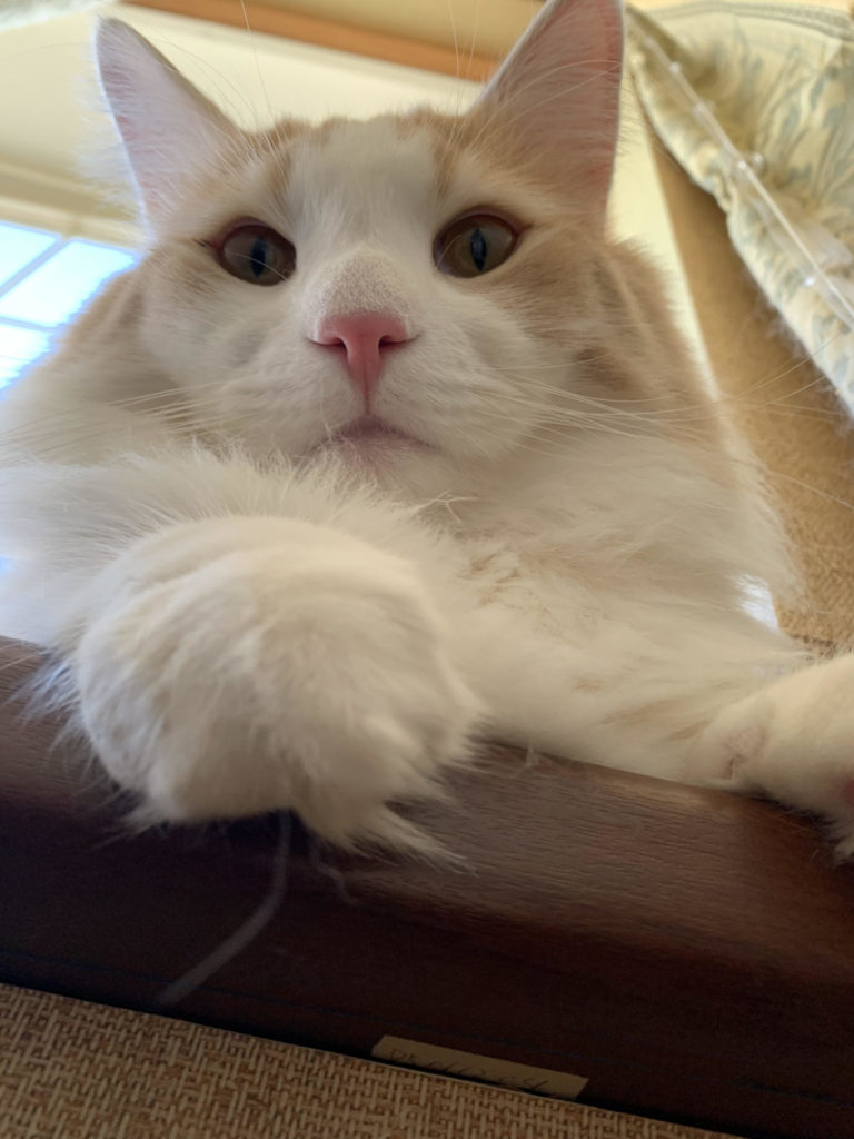 実力アップに結び付ける英語長文の復習方法