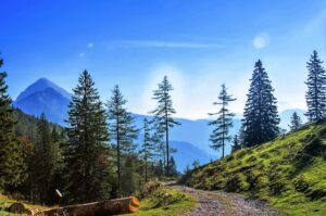 関関同立の英語の比較