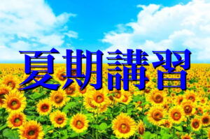 夏期講習【大学受験の英語長文の速読力が必ずアップ！】英語長文専門！大学受験のオンライン塾・予備校