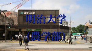 明治大学（農学部）の英語