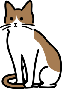 「実力テストの採点」オプションを試してみませんか？