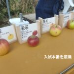 高校2年生対象のお手紙から抜粋:入試と普段の勉強の違いは?