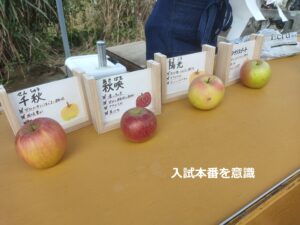 高校２年生対象のお手紙から抜粋：入試と普段の勉強の違いは？