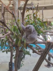 映像授業か個別指導か…自分に合った選択は？